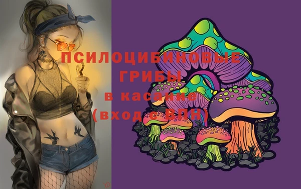 прущие грибы Остров