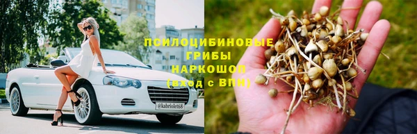 мяу мяу мука Абдулино