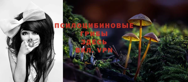мяу мяу мука Абдулино